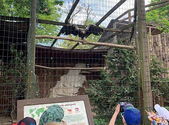 Trening Zwierzęcych Mocy w Zoo